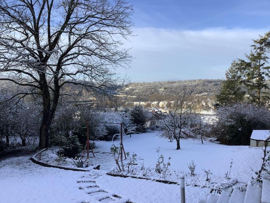 Ueber Den Daechern Von Koblenz - Aussichts-Wohnung Naturpark Rheinblick, Ruhig, Zentrumsnah, Sport-Pool Exterior foto